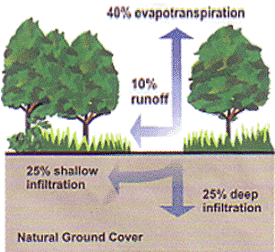 urban impacts on runoff, infiltration, and evapotranspiration