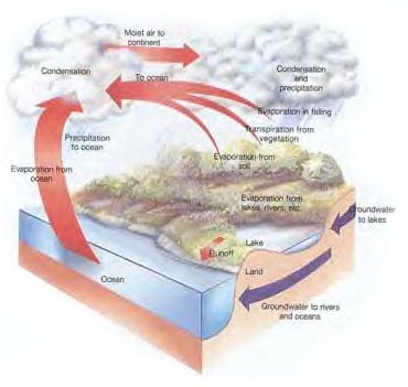 Hydrologic Cycle
