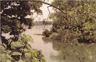 Point of confluence between Chartiers Creek and the Ohio River.