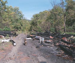 abandoned railroad bed along Scully Yards in Windgap area would make a great trail